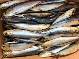 Шашлычок из карася холодного копчения: Сельдь Иваси х\к