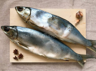 Тунец паутинка: Сиг вяленый