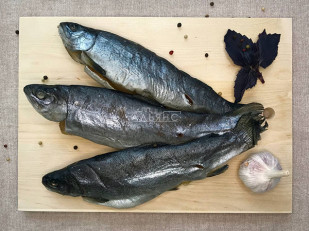 Тунец паутинка: Форель радужная вяленая