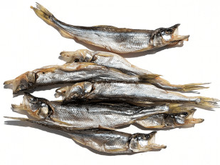 Сыр к пиву: Корюшка (мелкая) вяленая (Камчатка)